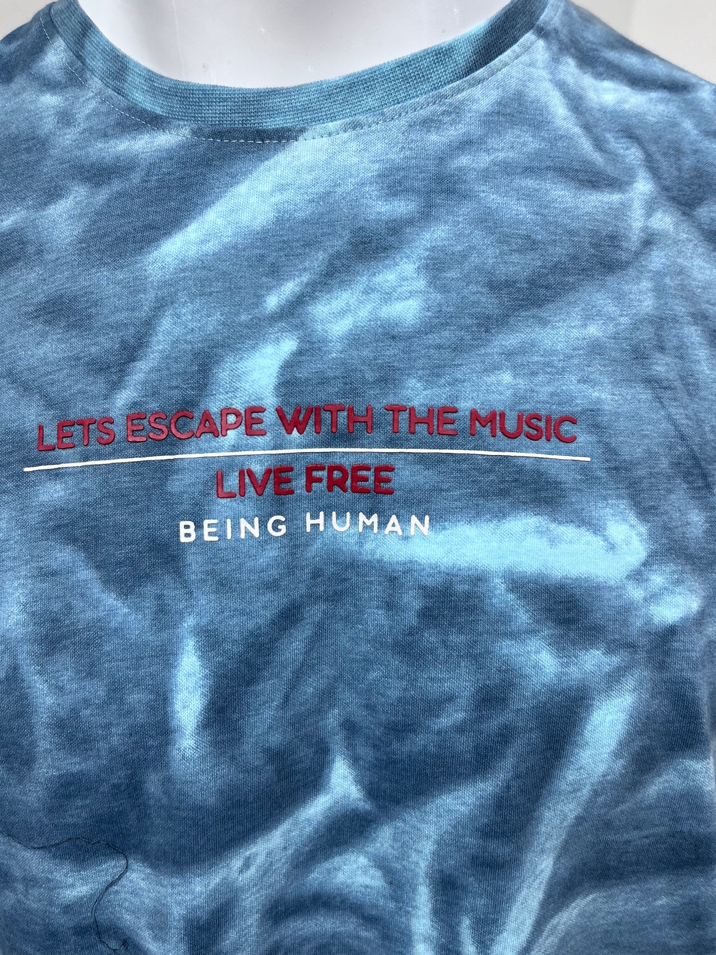 [BEING HUMAN] R/N T-SHIRT XXL