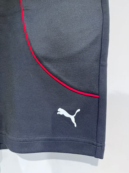 [PUMA] SHORTS SIZE LARGE