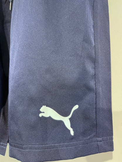 [PUMA] SHORTS SIZE LARGE